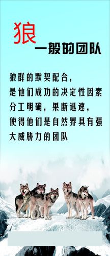 gra中欧体育co婴儿推车说明书(graco四轮婴儿车说明书)